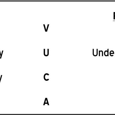 VUCA Leadership (Pt.2)
